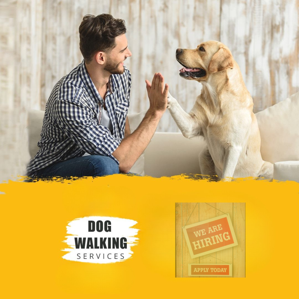 Dog Walker Jobs - Apply Now for Pet Care Opportunities | World Brand Offers