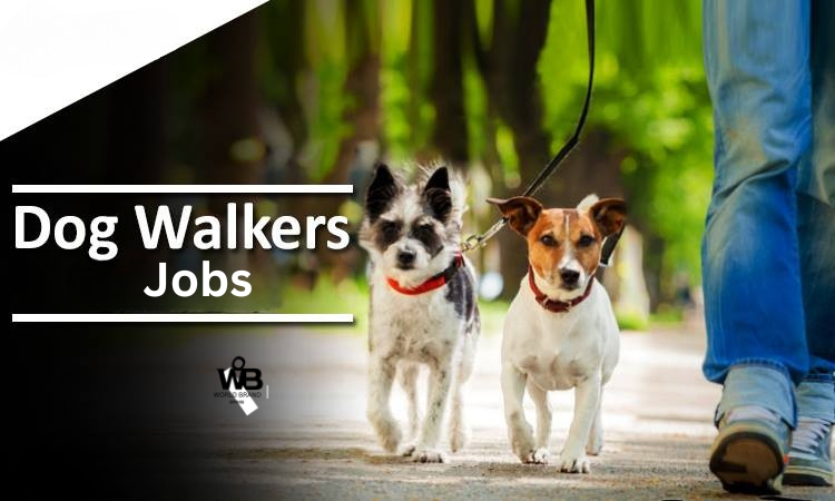 Dog Walker Jobs - Apply Now for Pet Care Opportunities | World Brand Offers